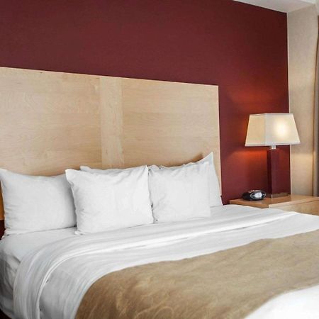 Comfort Suites Michigan Avenue Чикаго Екстериор снимка