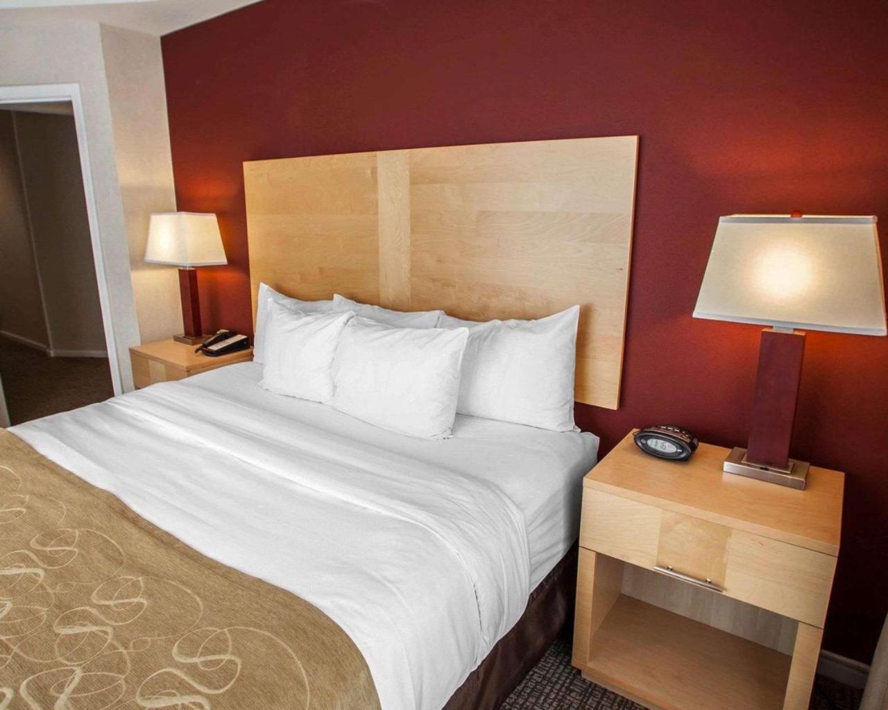 Comfort Suites Michigan Avenue Чикаго Екстериор снимка