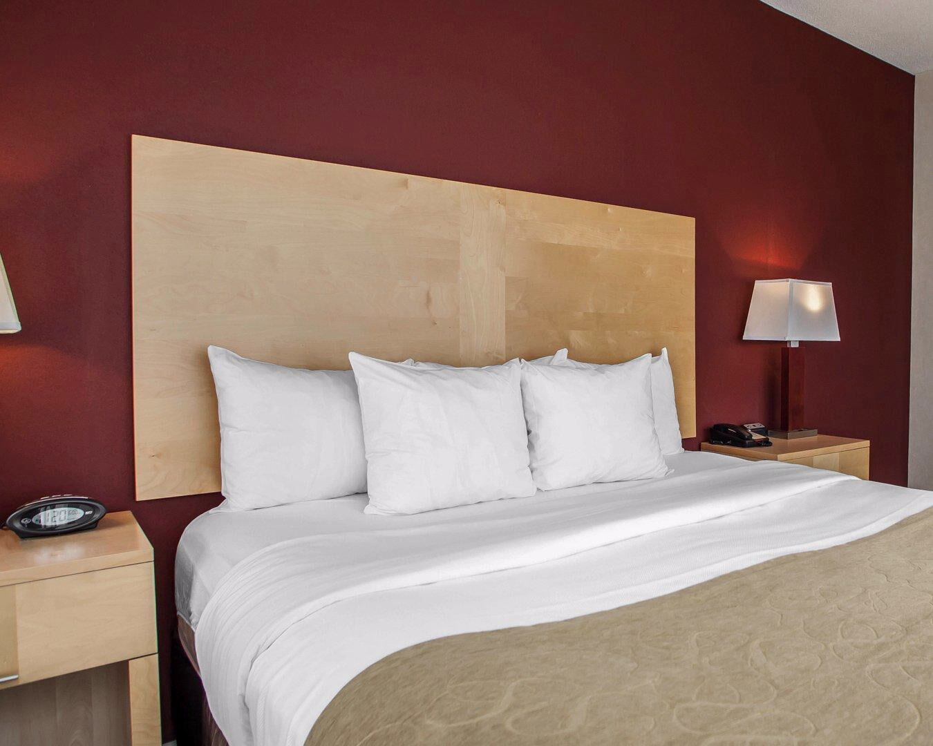 Comfort Suites Michigan Avenue Чикаго Екстериор снимка