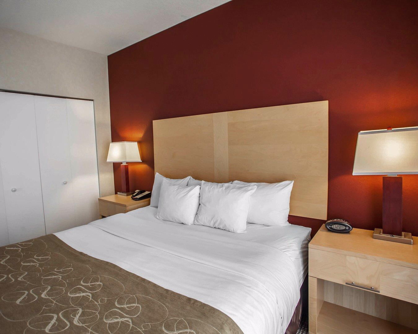 Comfort Suites Michigan Avenue Чикаго Екстериор снимка